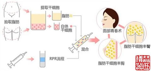 美容離心機(jī)