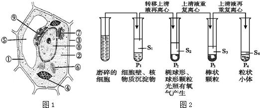 差速分離法.jpg